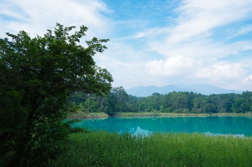 福島県五色沼の弁天沼の写真