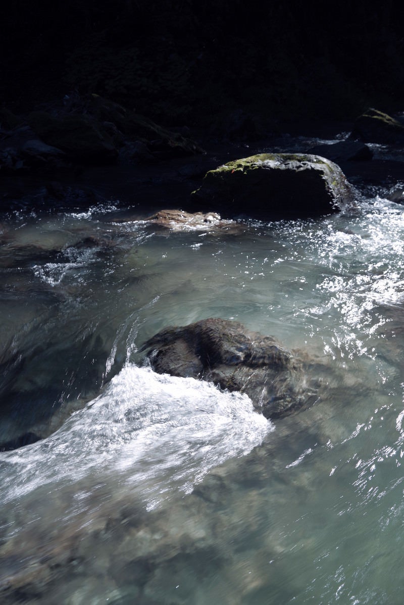 「夏のおだやかな渓流の様子」の写真
