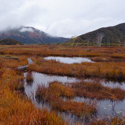 紅葉色の池塘と燧ヶ岳の写真