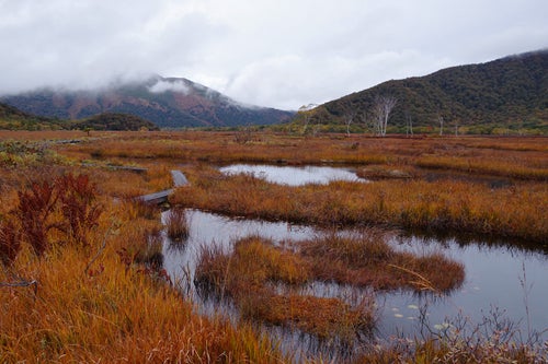 紅葉色の池塘と燧ヶ岳の写真