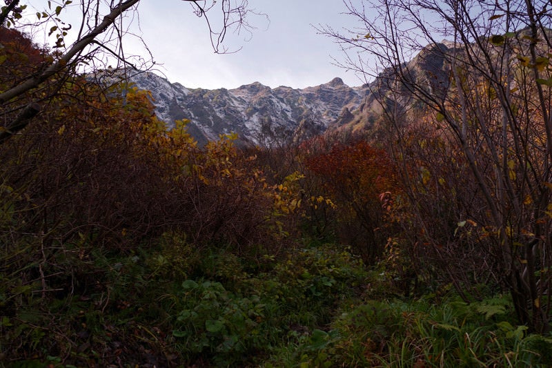 谷川岳と紅葉する木々の写真