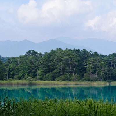夏季の弁天沼と吾妻連峰の写真