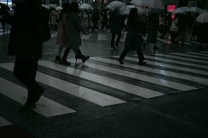 雨と横断歩道の写真