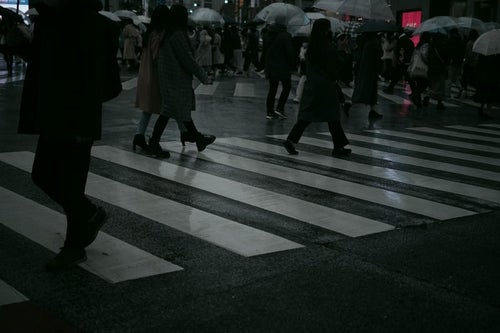 雨と横断歩道の写真