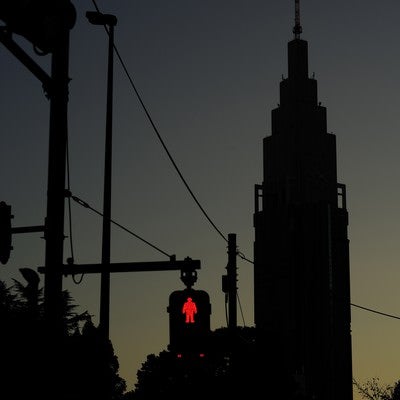 赤信号とドコモタワーの写真
