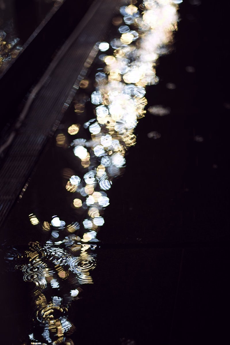 「側溝の水たまりと雨」の写真