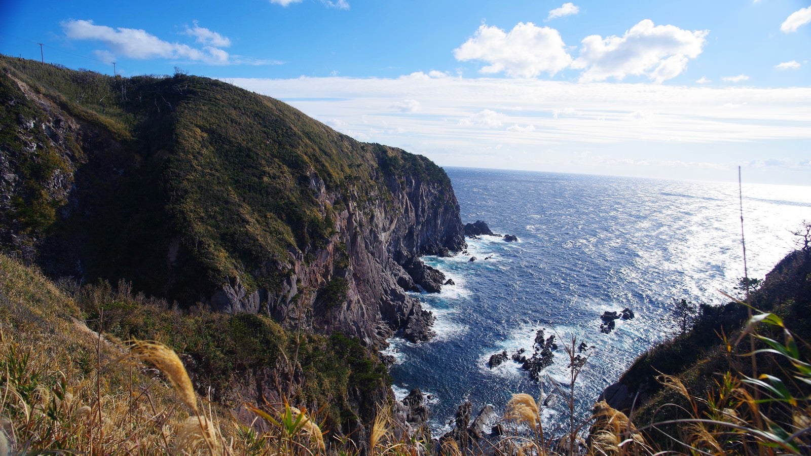 「神津島の断崖と海」の写真