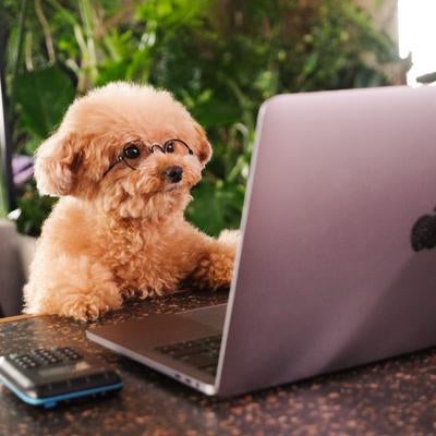 ワンチャン、俺にも就職先あるかもなの写真