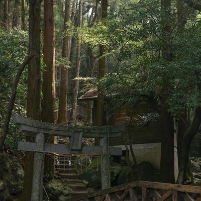竜王峡キャンプ村の鳥居の素材