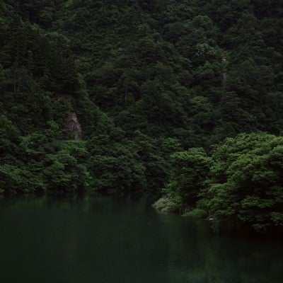 木々生い茂る川岸（富山県南砺市）の写真