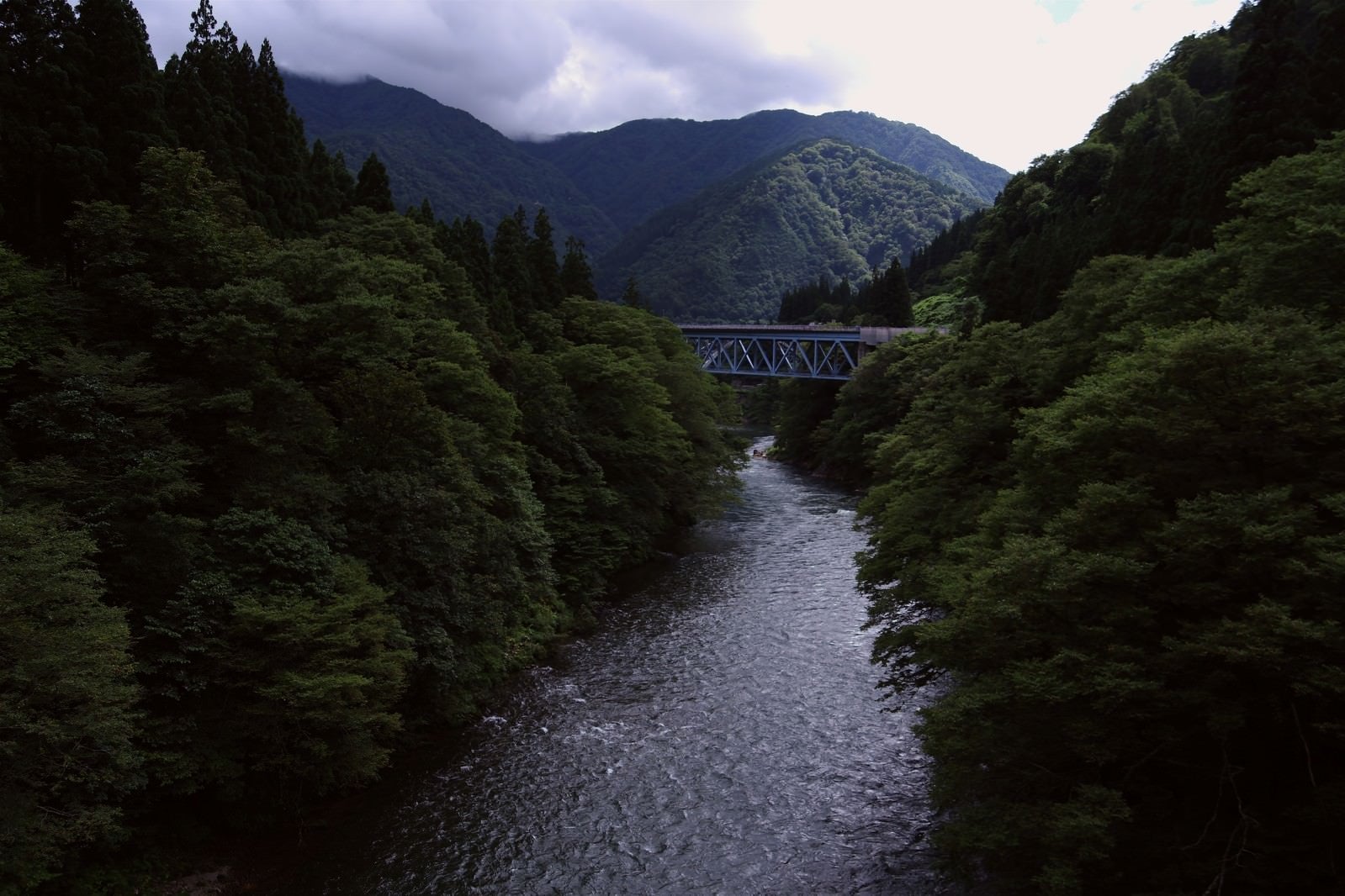 「庄川峡を覆う木々を繋ぐ橋（富山県南砺市）」の写真