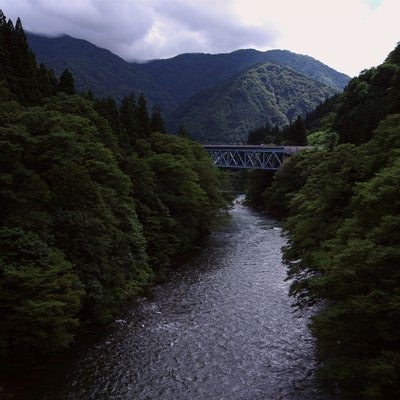 庄川峡を覆う木々を繋ぐ橋（富山県南砺市）の写真