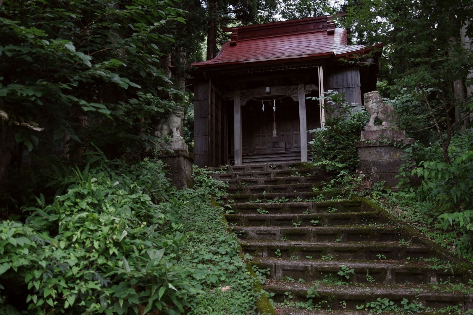 「石段の上に佇む本殿（富山県南砺市）」の写真