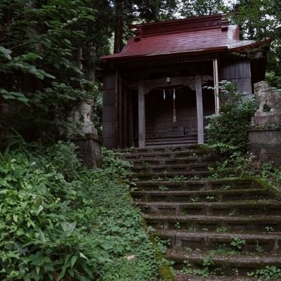 石段の上に佇む本殿（富山県南砺市）の写真