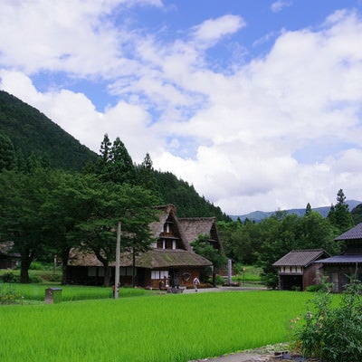 民家の屋根にかかる梯子と菅沼集落（富山県南砺市）の写真