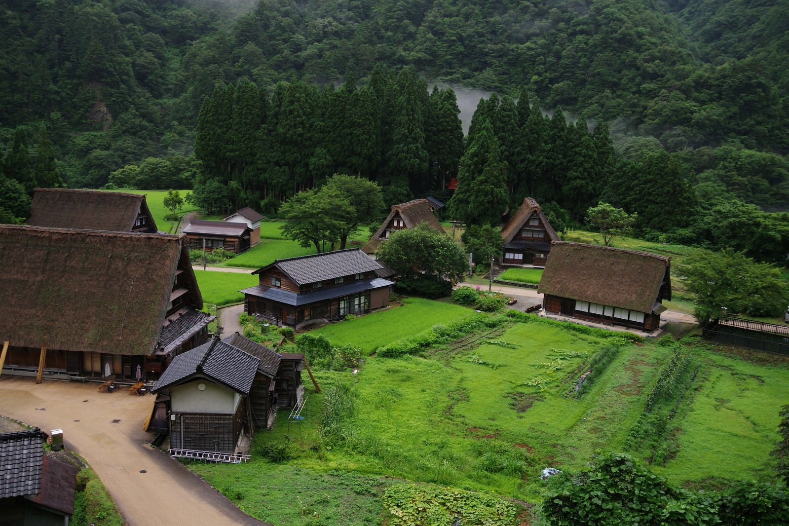 「緑に囲まれる集落（富山県南砺市）」の写真