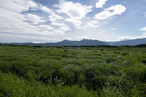 遠景の山と大草原の写真