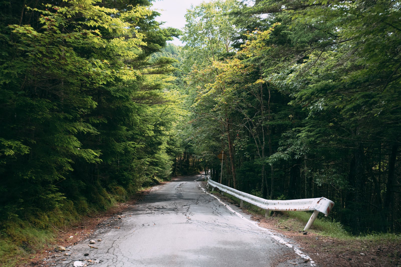 「森林の道と傾いたガードレール」の写真