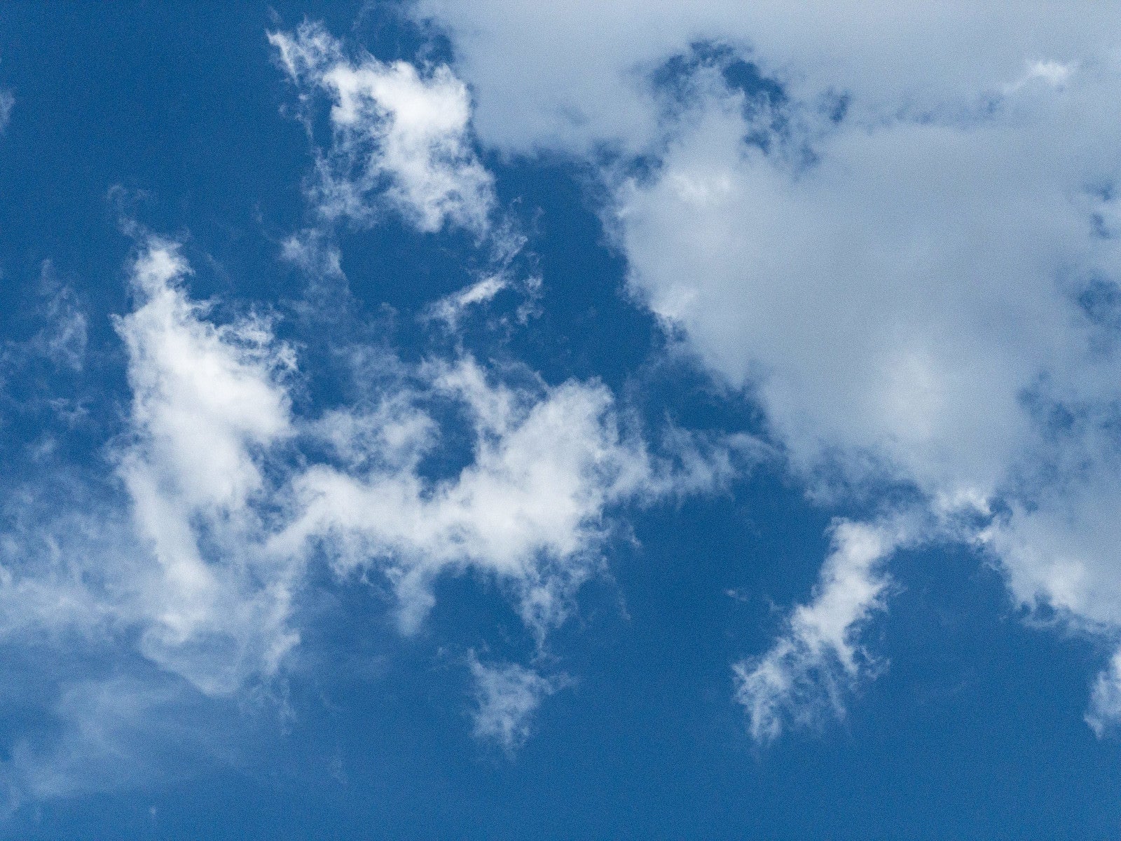 「青空と散らばる雲」の写真