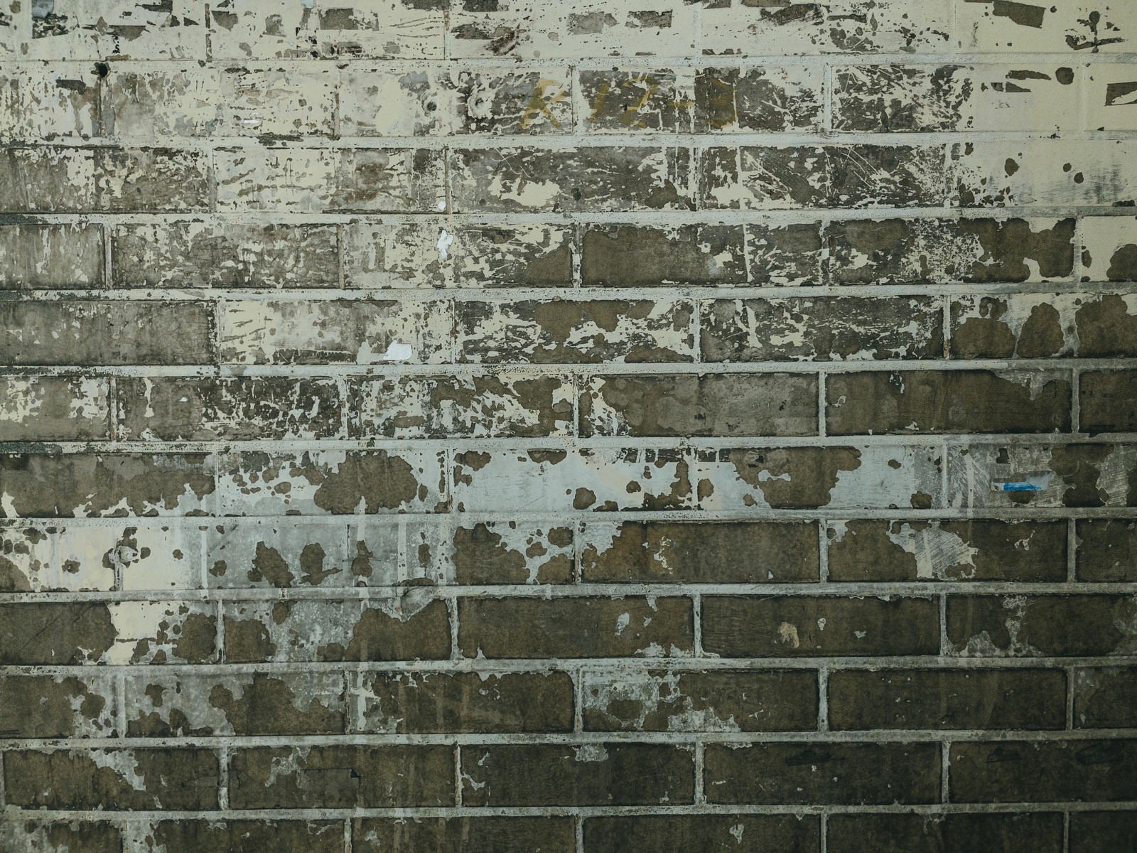 「表面がボロボロの壁（テクスチャ）」の写真