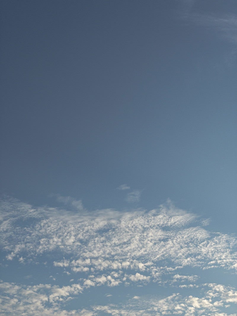 「青空と薄雲」の写真