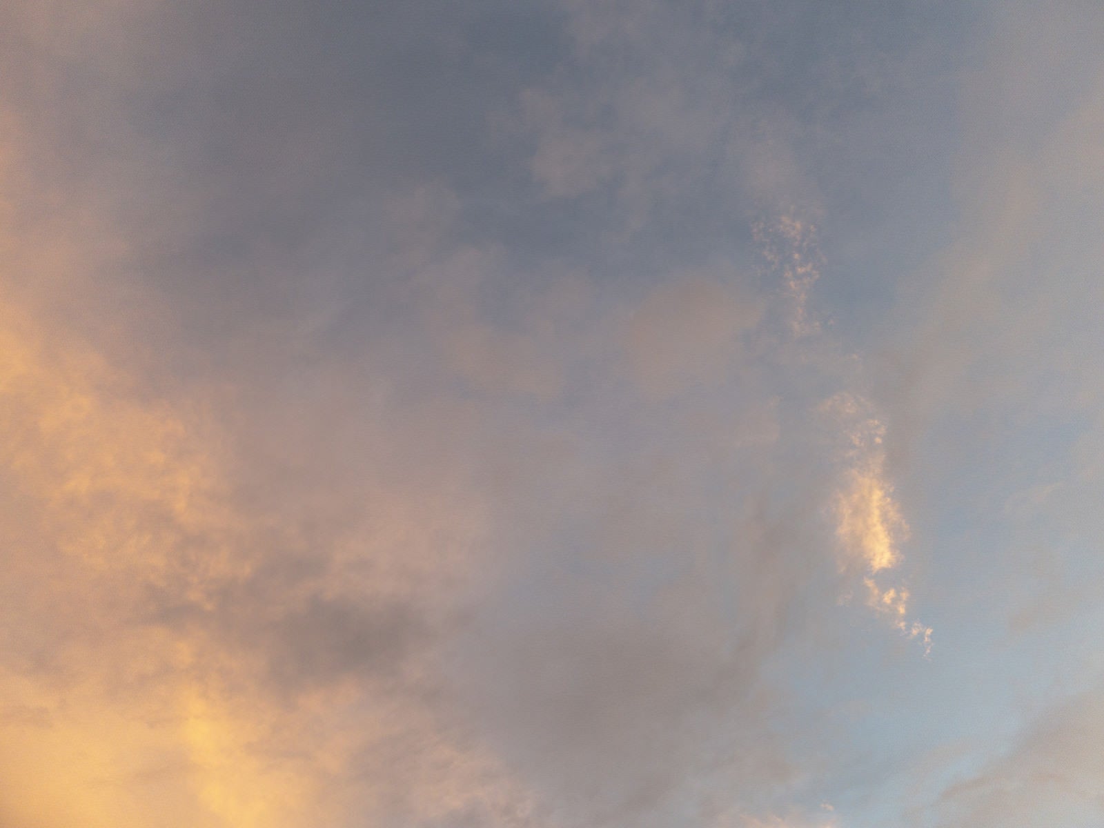 「黄昏時の薄雲」の写真