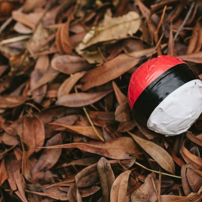 落葉にまみれた紅白ボールの写真