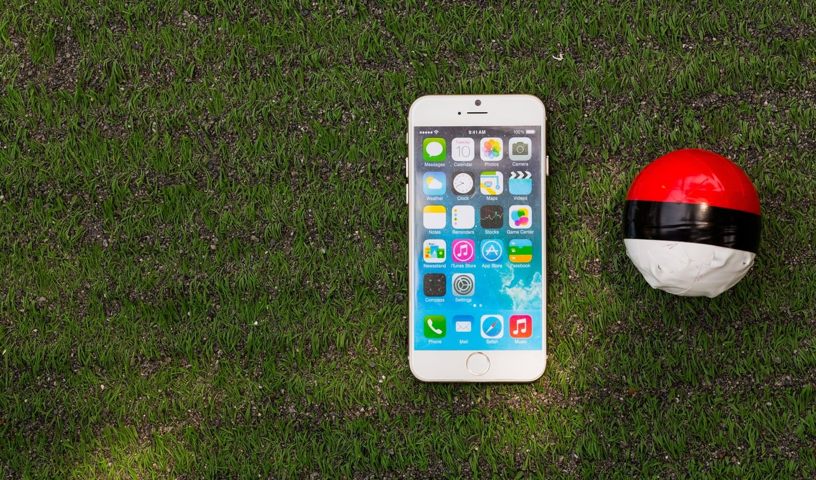 「芝の上にある紅白ボールとスマートフォン」の写真