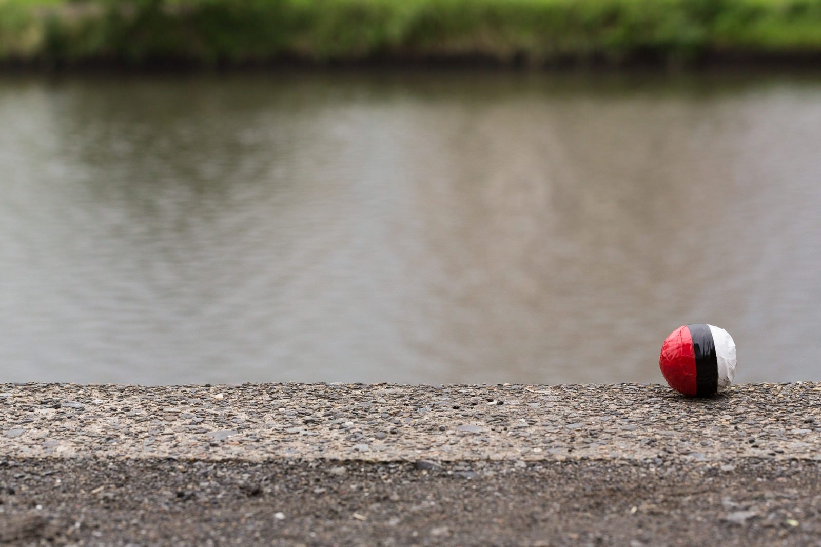 「水辺に落ちていた紅白ボールをゲット」の写真