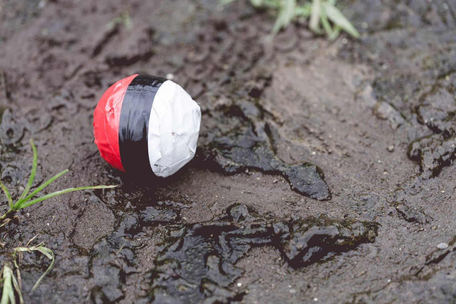 「水辺（泥）付近に落ちてた紅白ボール」の写真
