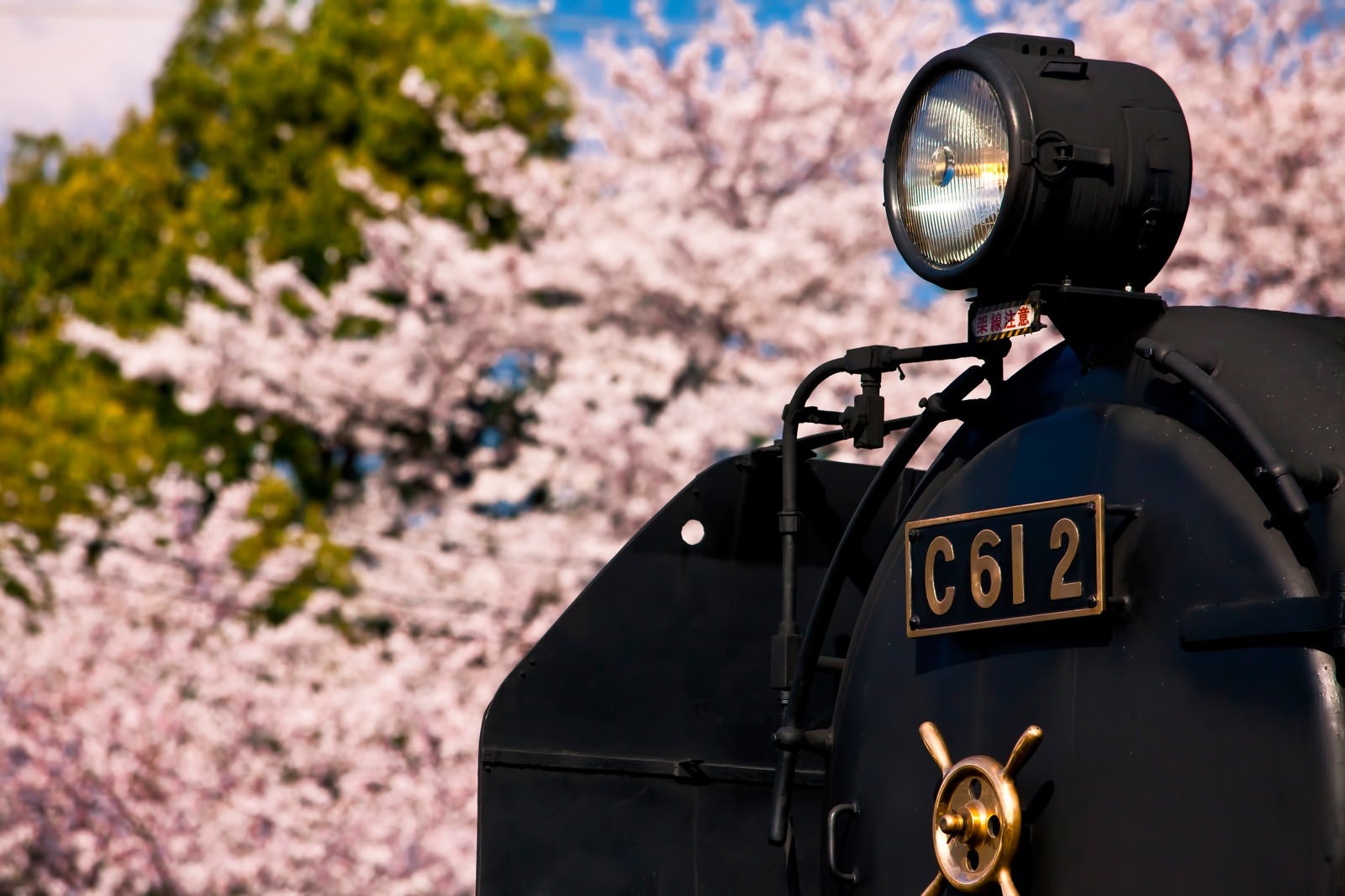 「桜とSL（汽車）」の写真