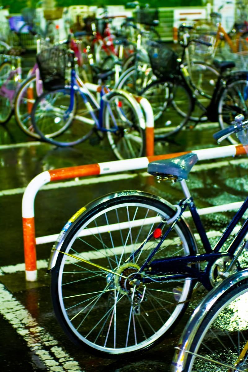 「雨に濡れた自転車」の写真