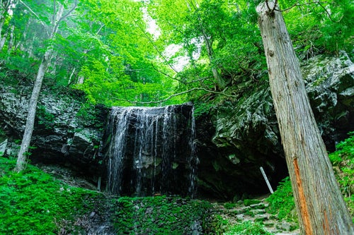 新緑に包まれる岩井滝の写真
