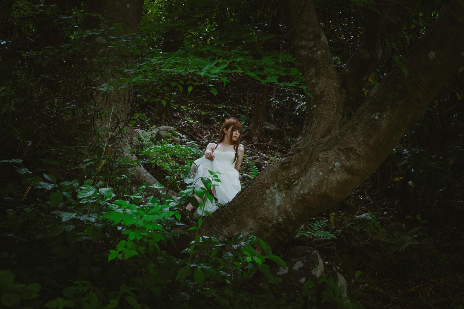 「深い森の中、白いドレスをまとった女性が木にもたれる」の写真［モデル：ラミエル］