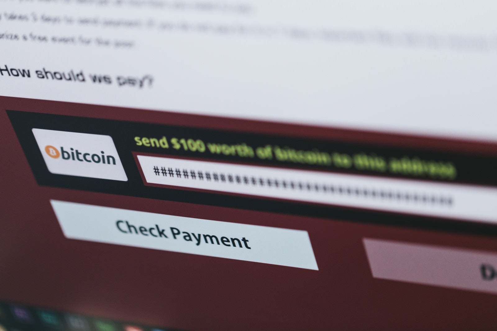 「ランサムウェアに表示された身代金請求（bitcoin）」の写真