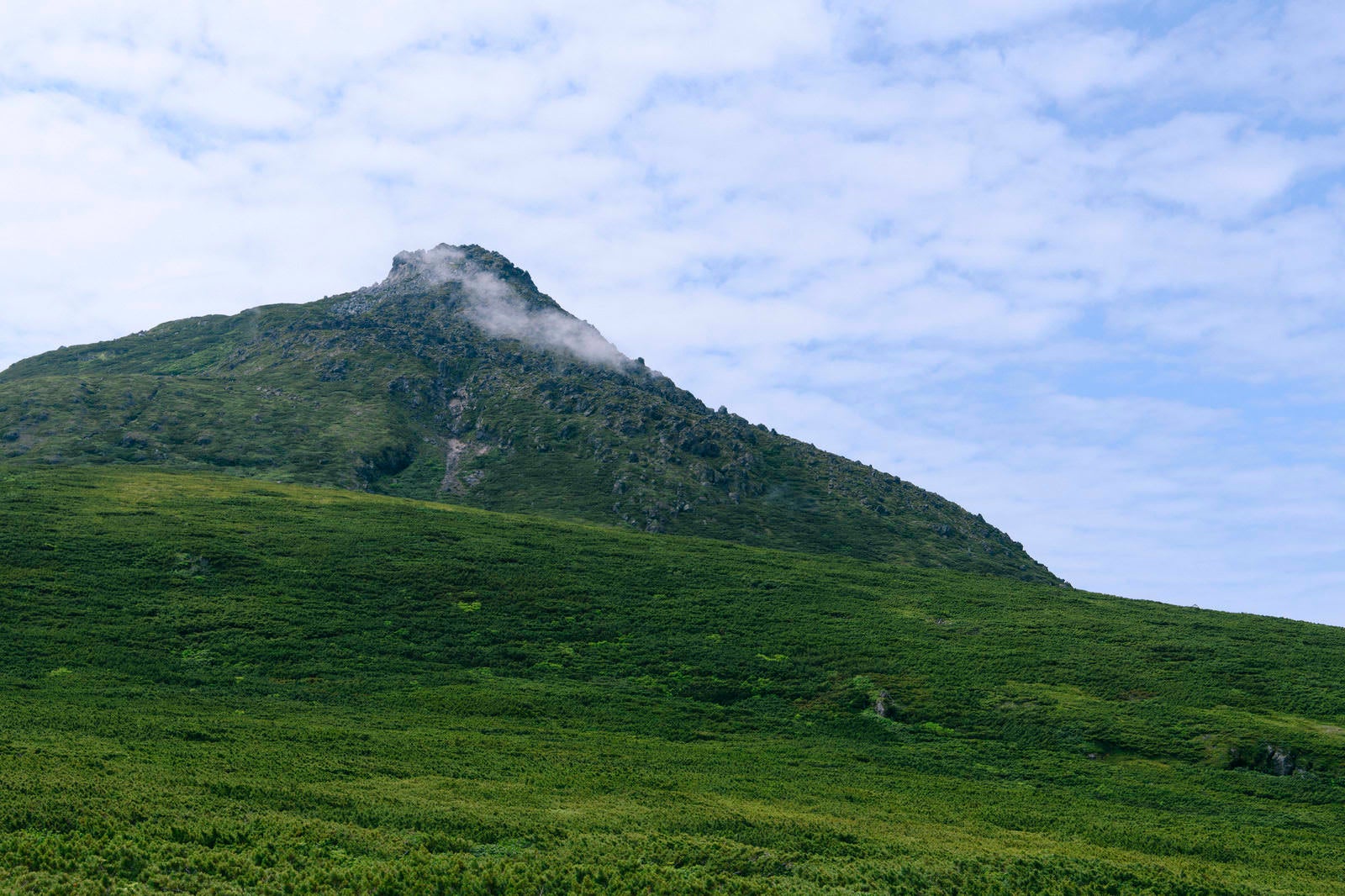 「羅臼平から見上げる羅臼岳」の写真