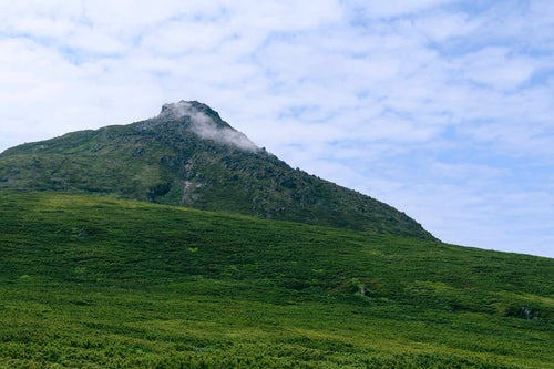羅臼平から見上げる羅臼岳の写真