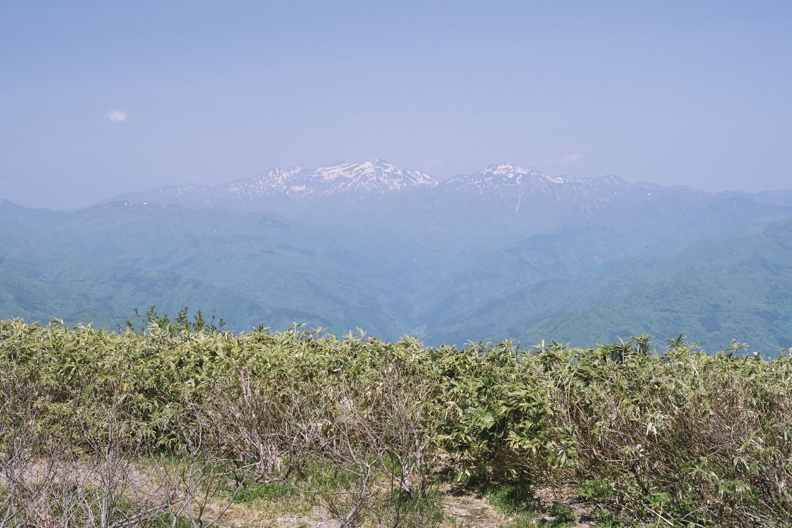 「荒島岳から望む遠くに佇む白山の峰々と青空が描く大自然」の写真