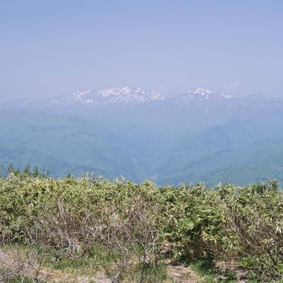 荒島岳から望む遠くに佇む白山の峰々と青空が描く大自然の写真