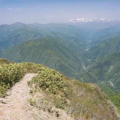 荒島岳稜線と白山の写真