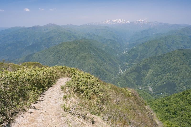 荒島岳稜線と白山の写真