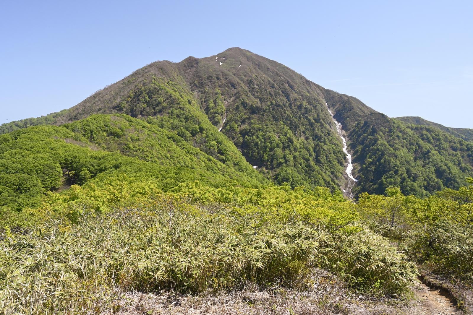 「前荒島岳から見る荒島岳の山頂」の写真