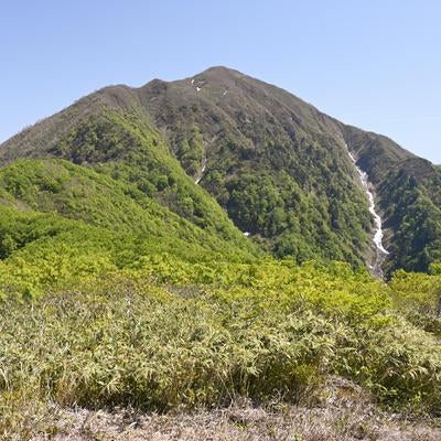 前荒島岳から見る荒島岳の山頂の写真