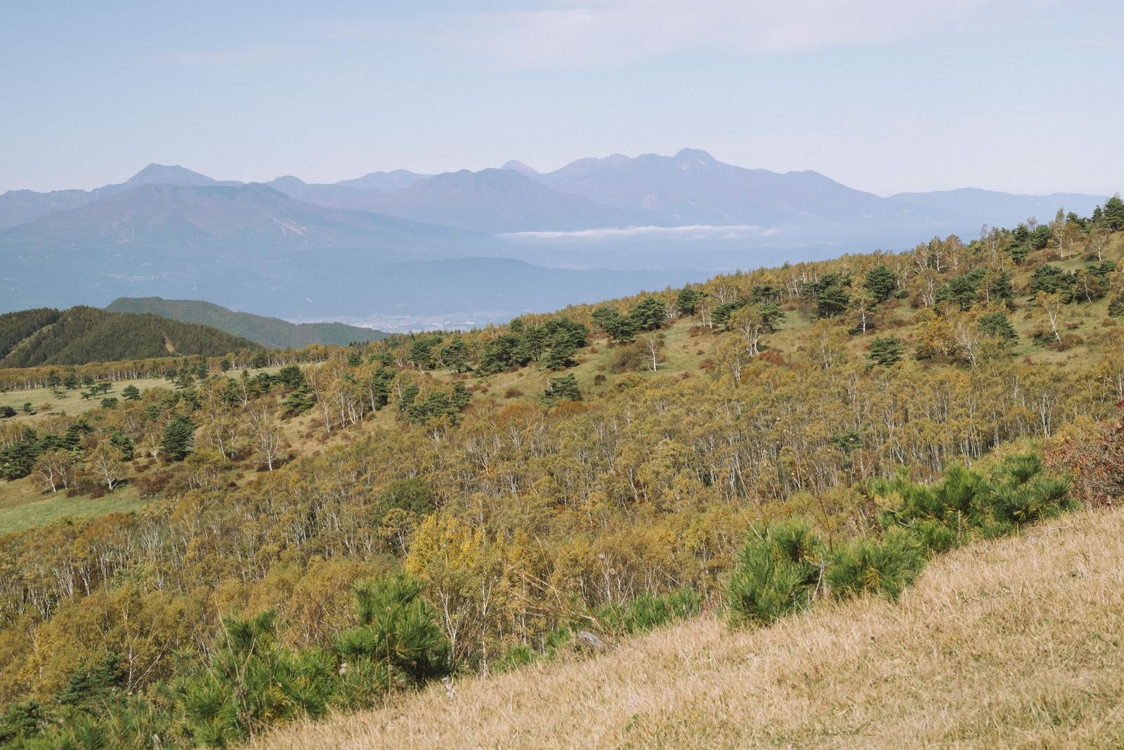 「紅葉する四阿山の山肌と北信五岳方面」の写真