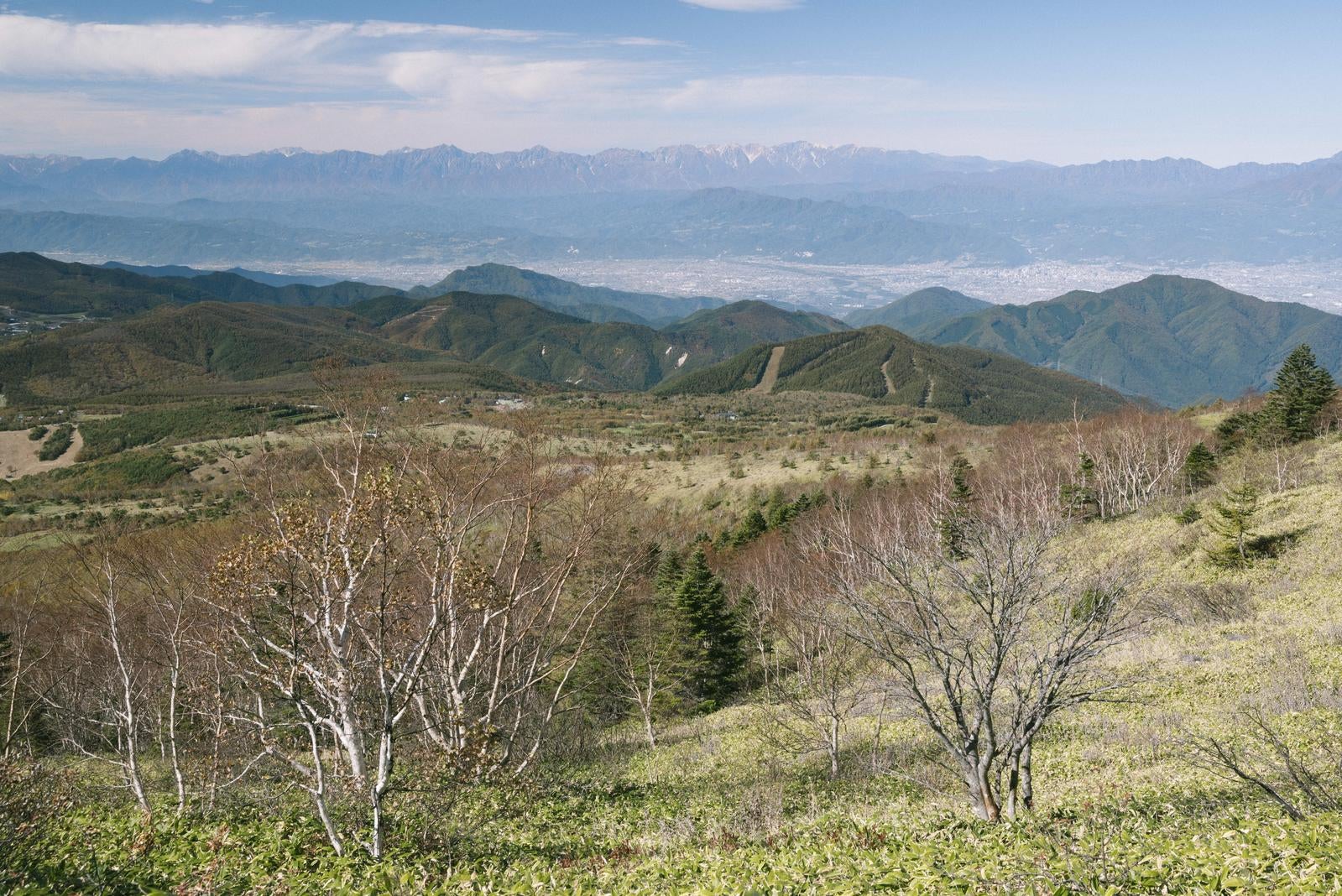 「屏風のような北アルプスを眺める根子岳登山道」の写真