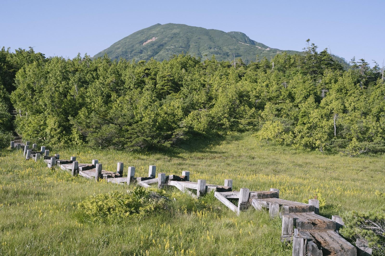 「木道の先に見える燧ヶ岳山頂」の写真