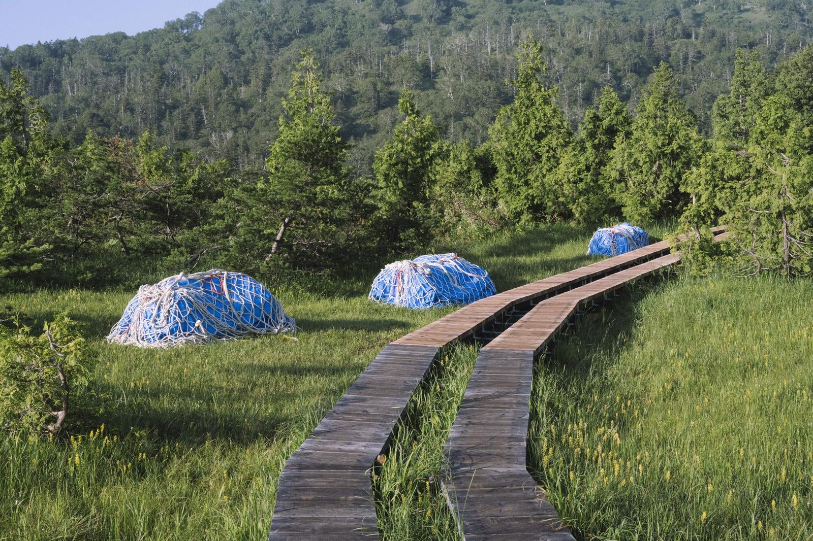 「燧ヶ岳御池登山道の木道と補修部材」の写真