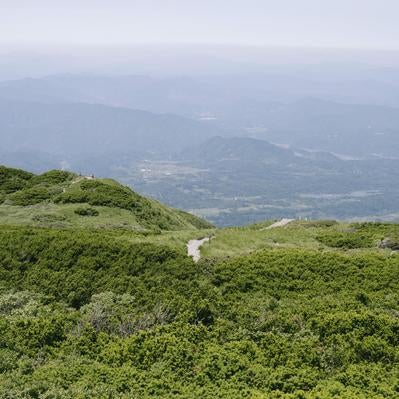 ダイセンキャラボクが広がる大山山頂から見下ろす山麓の素材