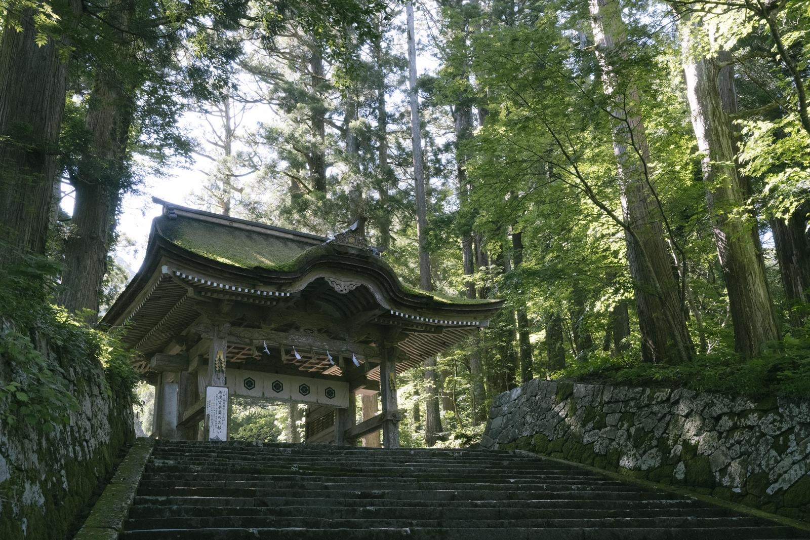 「荘厳な雰囲気を漂わせる大山の後ろ向き門」の写真