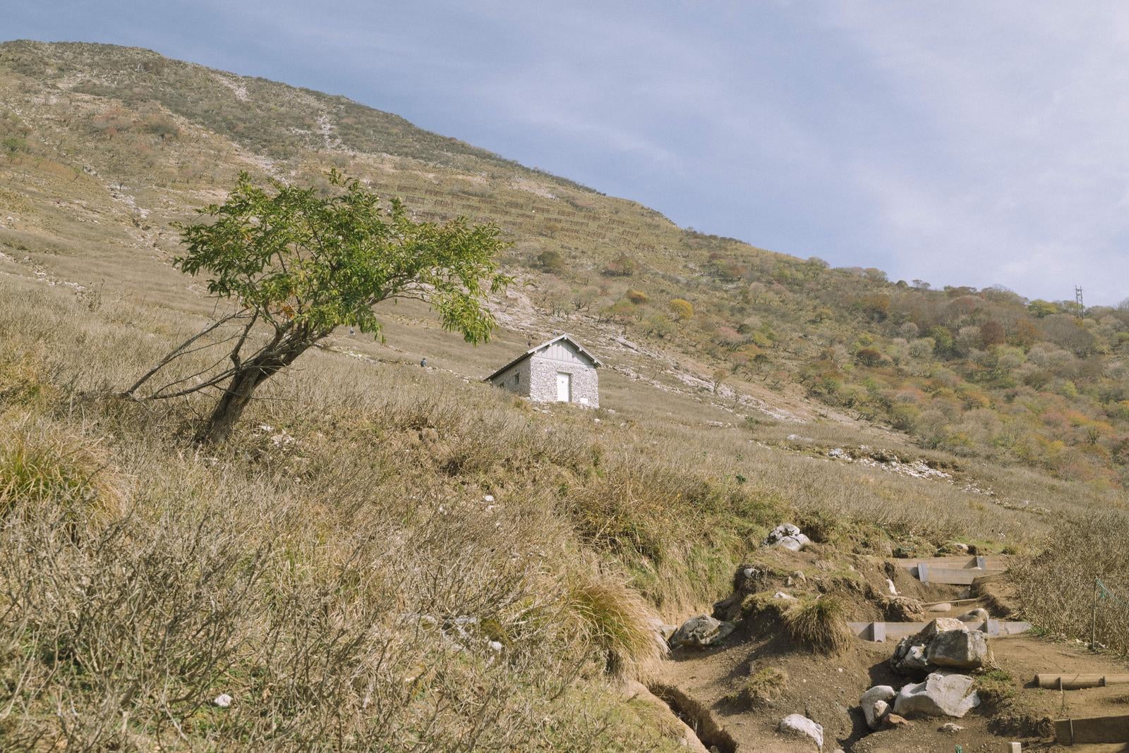 「孤高の木と石造りの伊吹山避難小屋」の写真